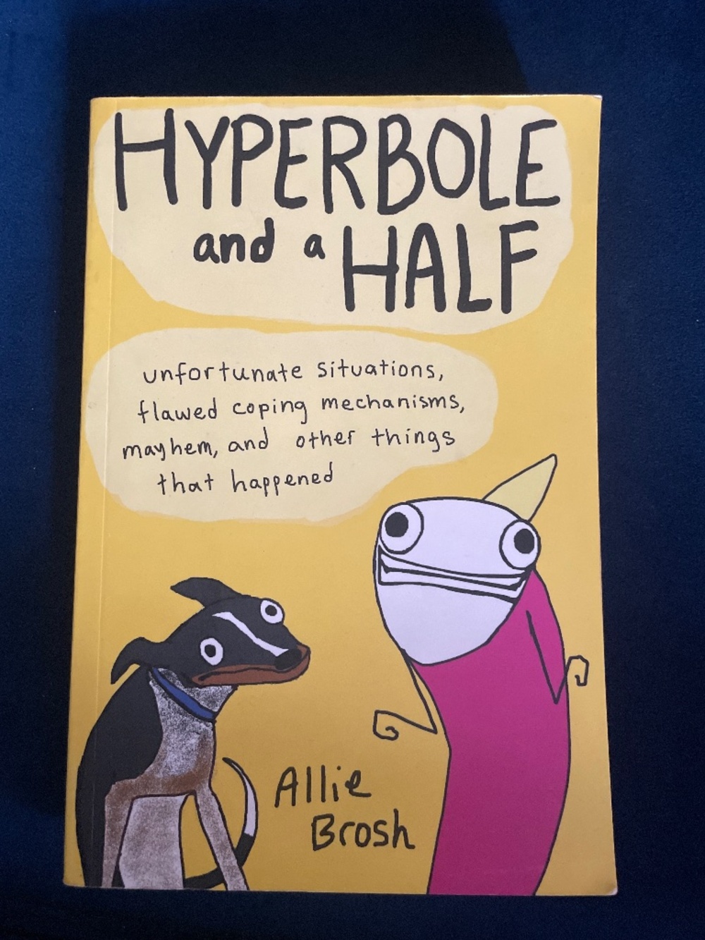 Hyperbole and a half | Allie Brosh
